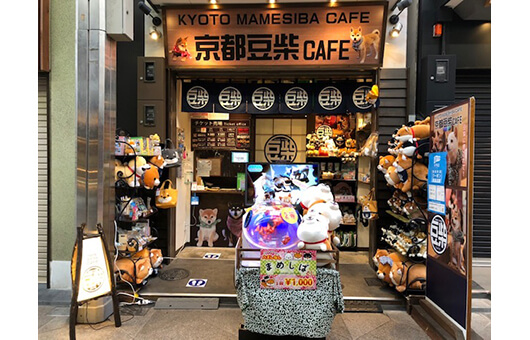 京都豆柴CAFE